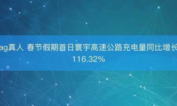 ag真人 春节假期首日寰宇高速公路充电量同比增长116.32%