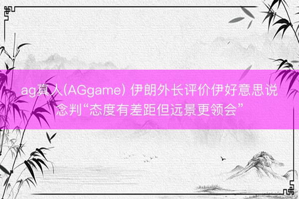 ag真人(AGgame) 伊朗外长评价伊好意思说念判“态度有差距但远景更领会”