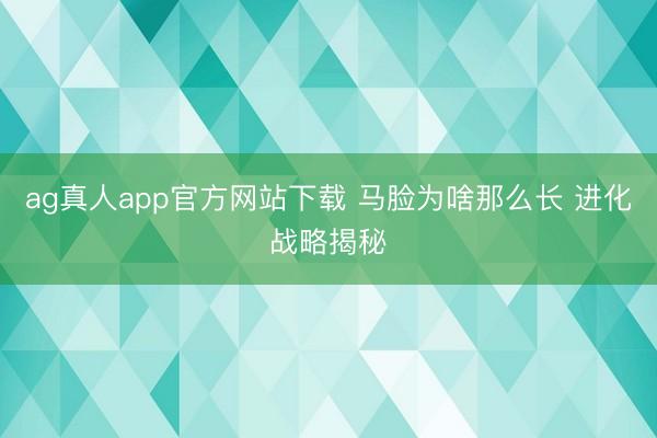 ag真人app官方网站下载 马脸为啥那么长 进化战略揭秘