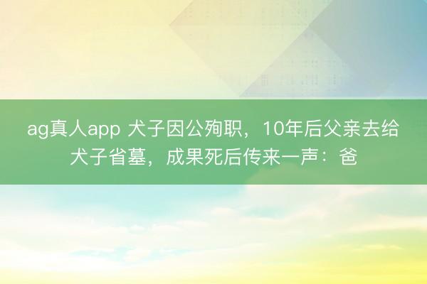 ag真人app 犬子因公殉职，10年后父亲去给犬子省墓，成果死后传来一声：爸